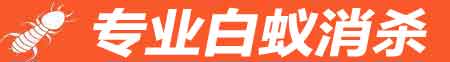 白蚁防治公司